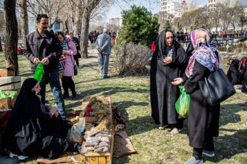 مراسم سنتی نواوستی در اردبیل