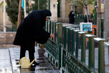 مزار شهدای چیذر در آخرین پنج شنبه سال