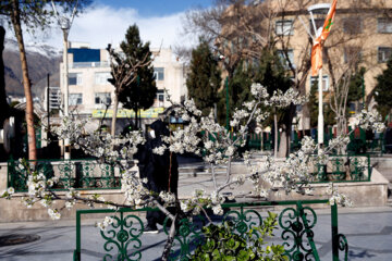 مزار شهدای چیذر در آخرین پنج شنبه سال