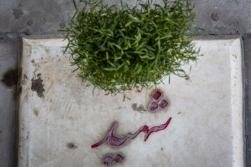 آخرین پنجشنبه سال در بهشت زهرا (س)