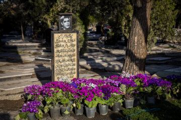 آخرین پنجشنبه سال در بهشت زهرا (س)