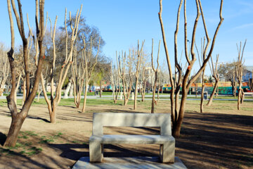 پارک ملت قزوین