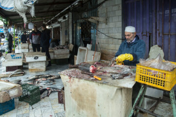 بازار ماهی بندر ترکمن