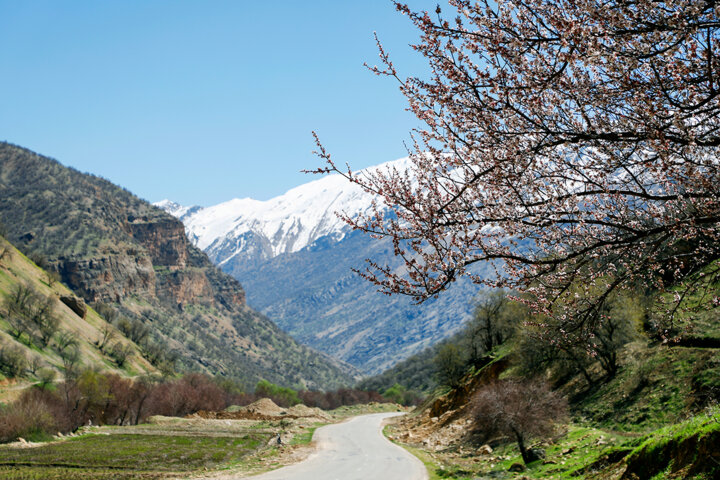 نوروزگردی در دل طبیعت چهارمحال و بختیاری 