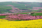 Naturaleza primaveral en el norte de Irán 
