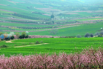 Naturaleza primaveral en el norte de Irán 