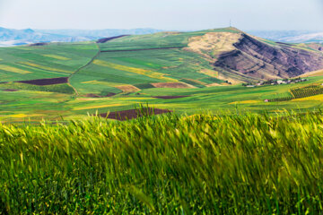 روستای قوزلو شهرستان گرمی اردبیل