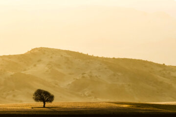 طبیعت روستای نمهیل خلخال اردبیل