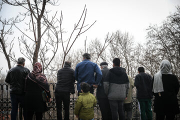 گردشگران نوروزی در کاخ سعدآباد