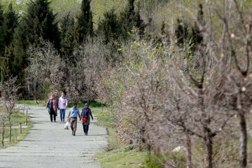 باغ گیاه‌شناسی ملی ایران