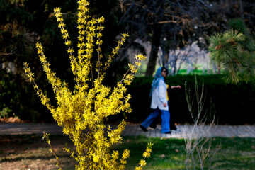 باغ گیاه‌شناسی ملی ایران