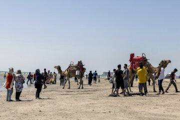 Iran : les îles Naaz à Qeshm au sud (Photo : Asghar Becharti 25 mars 2023)