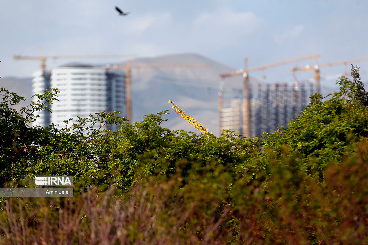 عضو شورای شهر تهران: ساخت و ساز در مجاورت باغ گیاه شناسی خلاف قانون است
