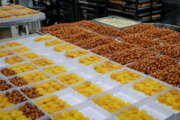 قیمت مصوب انواع زولبیا در تبریز از یک میلیون و ۴۰۰ هزار تا یک میلیون و ۸۰۰ هزار ریال