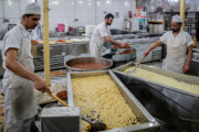 ۱۰ تیم بازرسی بهداشتی بر مراکز عرضه مواد غذایی در زنجان نظارت می‌کنند