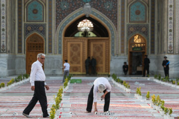 توزیع افطاری در باب الکاظم حرم مطهر رضوی