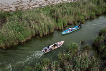 Shadegan, une zone humide unique et merveilleuse au sud-ouest de l'Iran