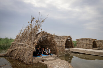 Shadegan, une zone humide unique et merveilleuse au sud-ouest de l'Iran