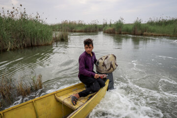 Shadegan, une zone humide unique et merveilleuse au sud-ouest de l'Iran