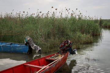 Shadegan, une zone humide unique et merveilleuse au sud-ouest de l'Iran