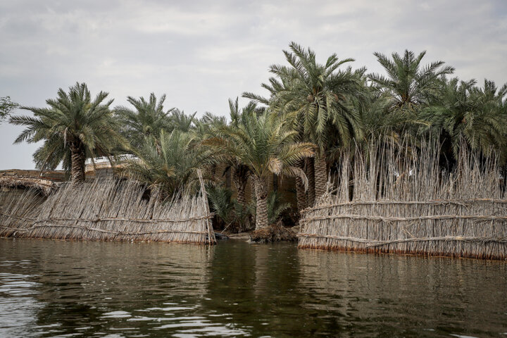 آیا تالابها قابل واگذاری هستند؟