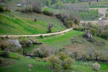 Nature printanière des montagnes de Rudbar au nord de l’Iran 