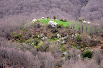 Nature printanière des montagnes de Rudbar au nord de l’Iran 