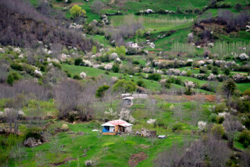 Nature printanière des montagnes de Rudbar au nord de l’Iran 