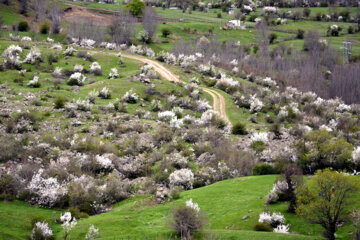 Nature printanière des montagnes de Rudbar au nord de l’Iran 