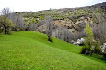 Nature printanière des montagnes de Rudbar au nord de l’Iran 