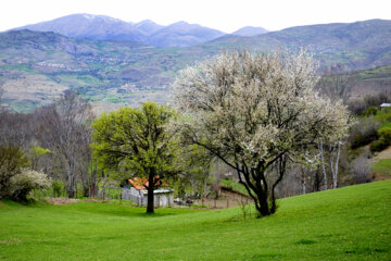 Nature printanière des montagnes de Rudbar au nord de l’Iran 