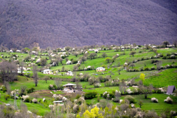 Nature printanière des montagnes de Rudbar au nord de l’Iran 