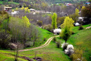 طبیعت بهاری کوهستان رودبار گیلان