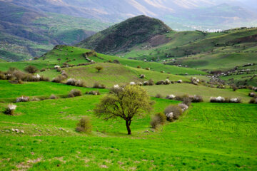 Nature printanière des montagnes de Rudbar au nord de l’Iran 