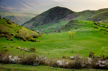 طبیعت بهاری کوهستان رودبار گیلان