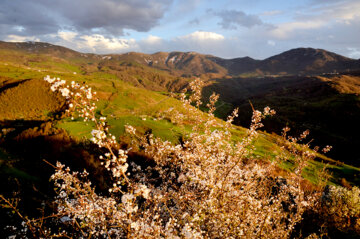 Nature printanière des montagnes de Rudbar au nord de l’Iran 