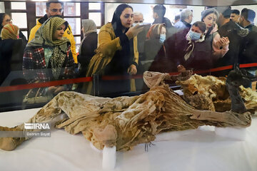 گردشگران نوروزی در بخش مردان نمکی موزه باستان شناسی زنجان 
