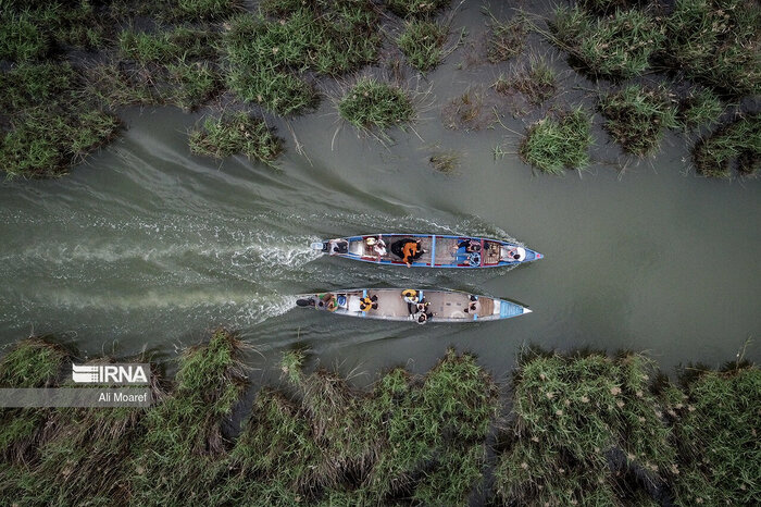 سیلاب را به نام حقابه تمام نکنیم/گرد و غبار خشکی تالابها به چشم خودمان میرود
