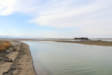 Retour de la vie au lac d'Ourmia