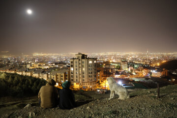 احیای شب نوزدهم رمضان - کهف الشهدا