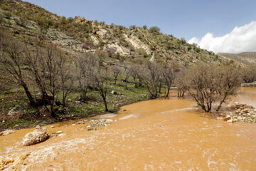 جاری شدن سیل در ایلام