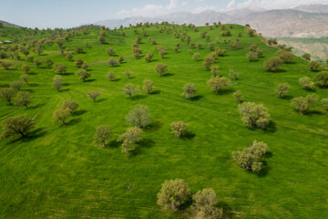 Le village touristique de Zaras en Iran ; Un joyau au coeur des montagnes de Zagros