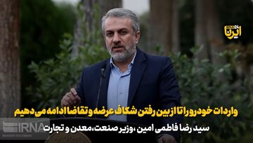 فاطمی‌امین: واردات خودرو را تا از بین رفتن شکاف عرضه و تقاضا ادامه می‌دهیم