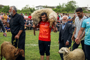 Las competiciones de Luçu en Mazandarán 