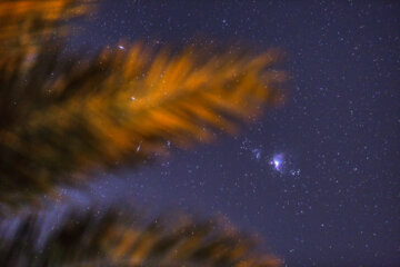 سحابی جبار (سحابی ها مکان زایش یا گهواره مرگ ستاره ها در کیهان هستند)