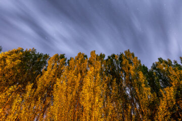 آسمان شب؛ زیبایی فراموش شده