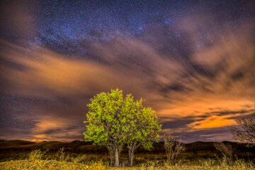 آسمان شب؛ زیبایی فراموش شده