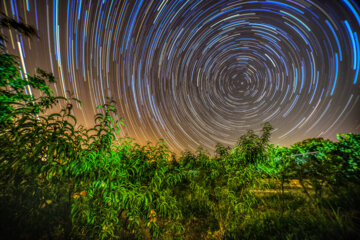 رد ستارگران دورقطبی برفراز باغ هلو