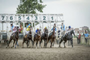 اسب‌های برتر هفته یازدهم مسابقات کورس گنبدکاووس معرفی شدند