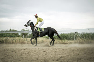 ۹ میلیارد ریال جایزه برای اسب‌های برتر هفته نهم کورس گنبدکاووس تعیین شد